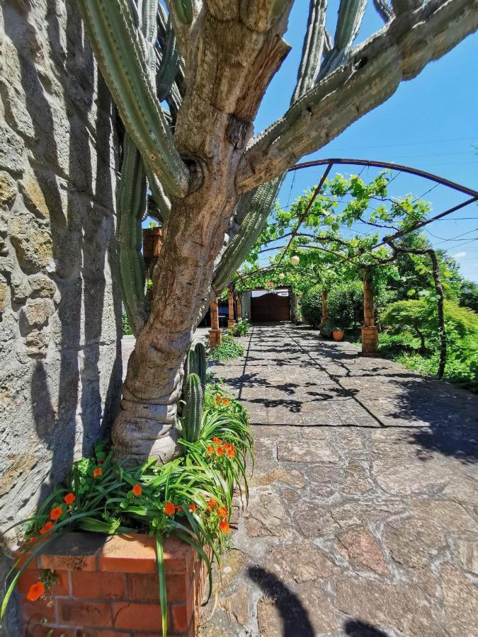 Casa De - Braga